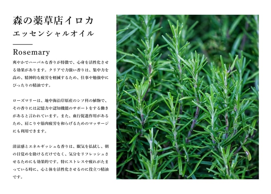 67e659c50359450f46fb6304