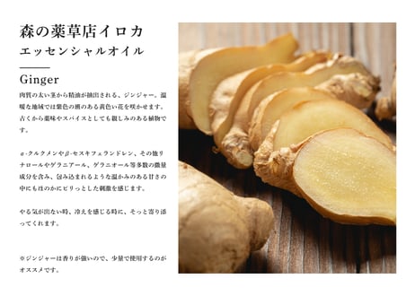 【シングルエッセンシャルオイル】Ginger 5ml