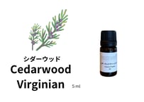 【シングルエッセンシャルオイル】Cederwood Virginian ５ml