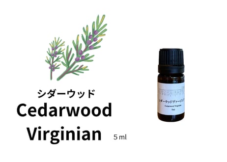 【シングルエッセンシャルオイル】Cederwood Virginian ５ml