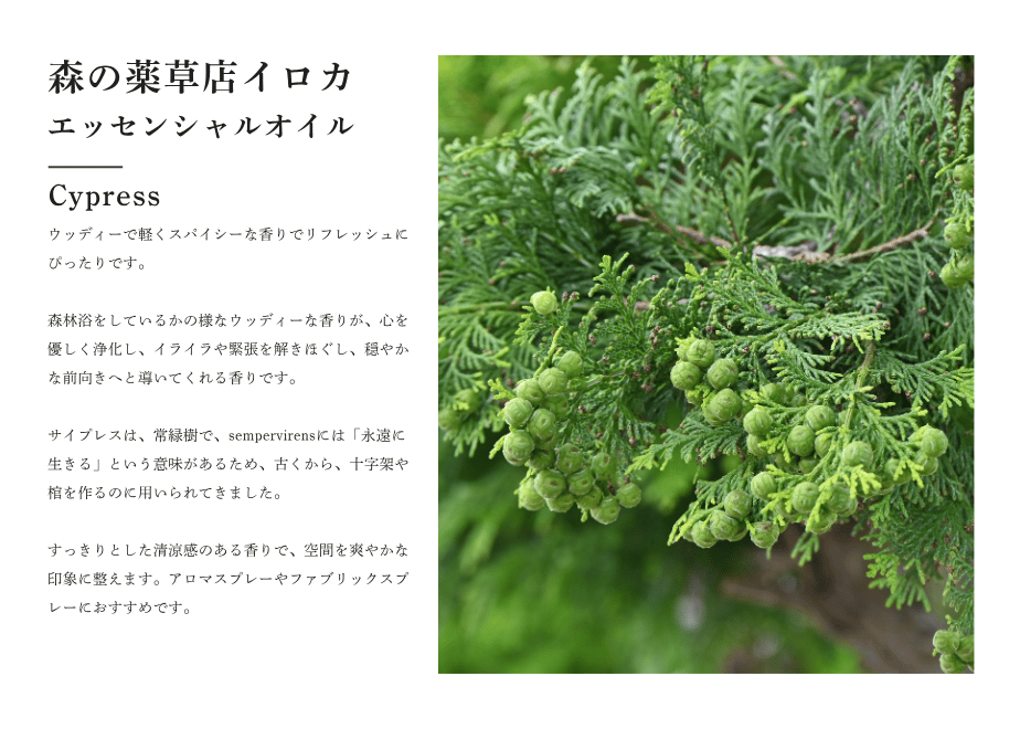 6a3a16a1a7f9cb00494e4953