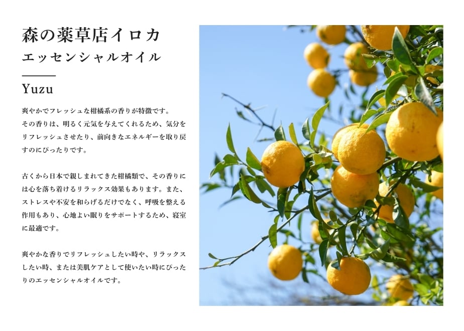 67e657a23626e4a66ea23239