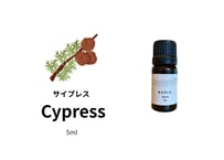 【シングルエッセンシャルオイル】Cypress 5ml