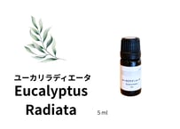 【シングルエッセンシャルオイル】 Eucalyptus Radiata Oil ５ml
