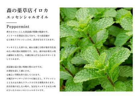 【シングルエッセンシャルオイル】 Peppermint Oil 5ml