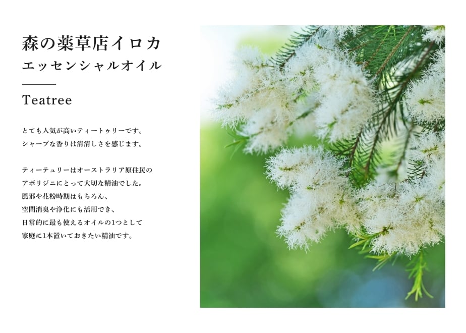 67e650812351e45e25a951a8