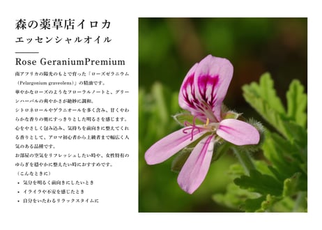 【シングルエッセンシャルオイル】 Rose Geranium Oil 5ml