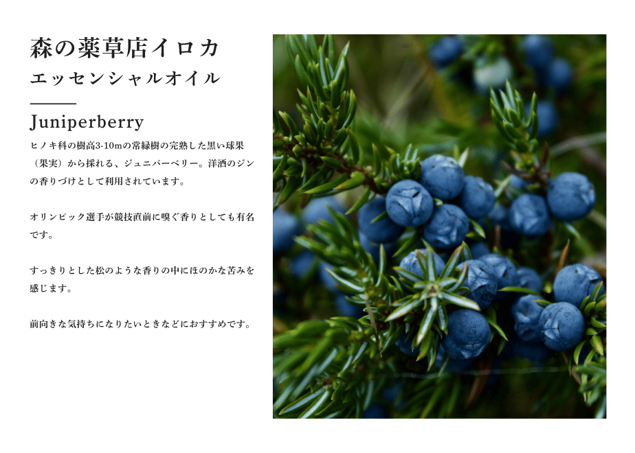 6a3b344173ce6e073cfec524