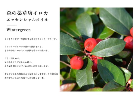 【シングルエッセンシャルオイル】Wintergreen 5ml