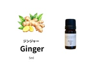 【シングルエッセンシャルオイル】Ginger 5ml