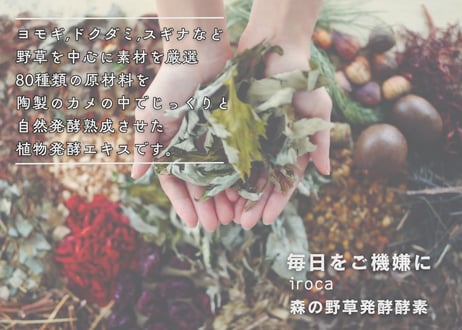 【森の野草発酵酵素】iroca酵素ドリンク2本セット 定期購入