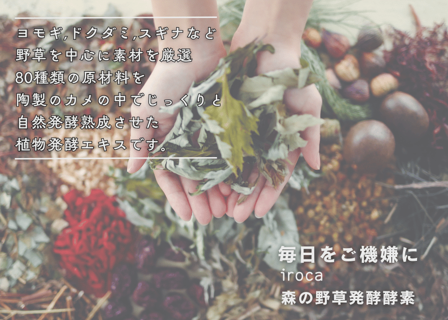 66ed2737eb6dbe04d3612ca9