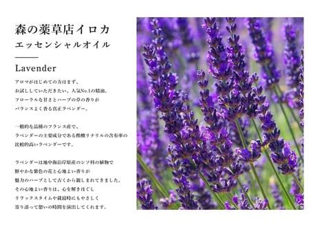 【シングルエッセンシャルオイル】 Lavender Oil 10ml