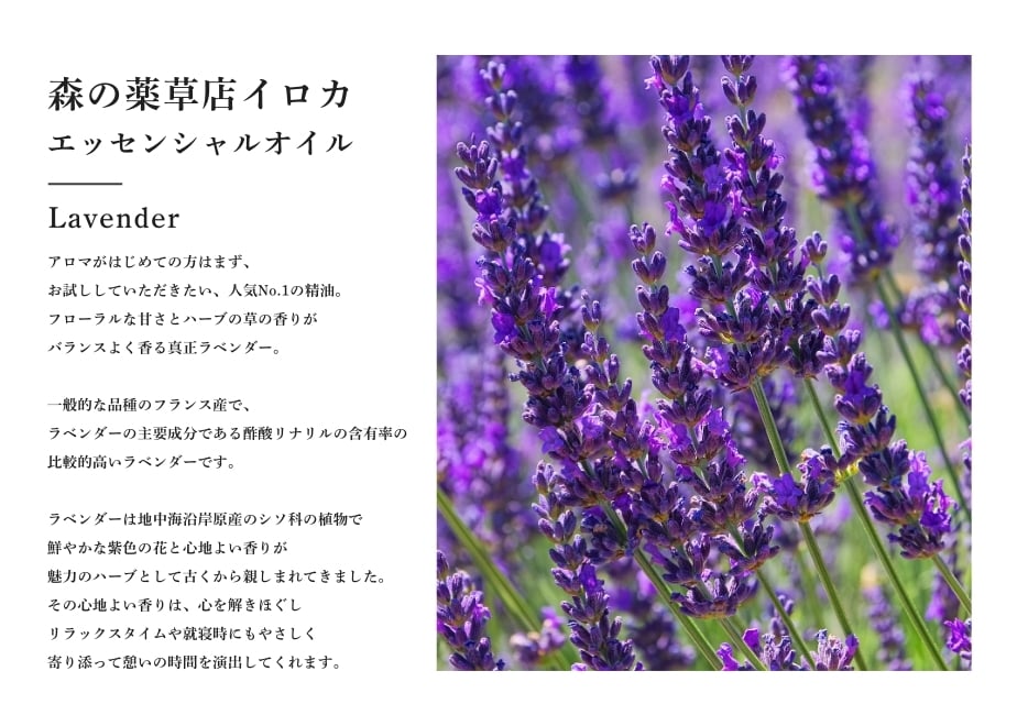 67e606241bcd747e8061f3cb