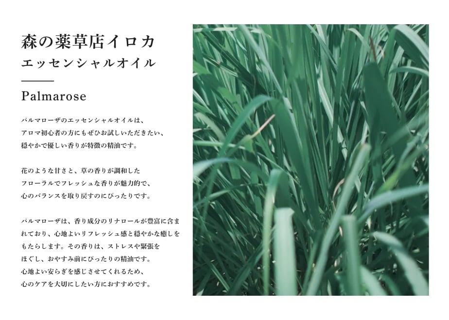 67e654f49183256e5dd0bbfb