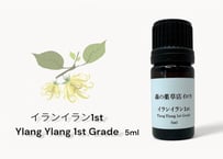 【シングルエッセンシャルオイル】 Ylang Ylang Oil 5ml