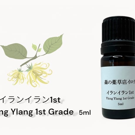 イランイラン | STORES