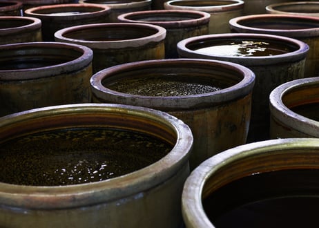 【森の野草発酵酵素】irocaの酵素 ペースト