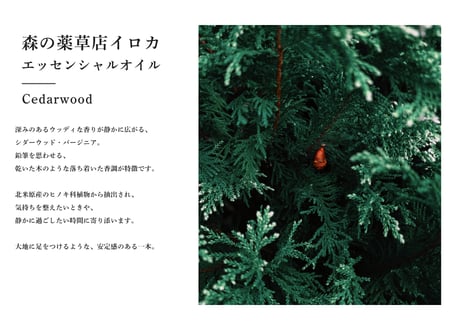 【シングルエッセンシャルオイル】Cederwood Virginian ５ml