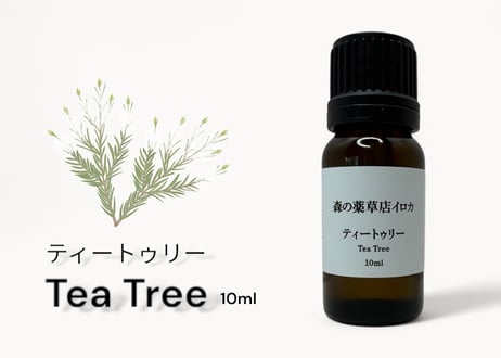 【シングルエッセンシャルオイル】 Teatree Oil 10ml