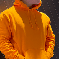 NEXT foodie orange