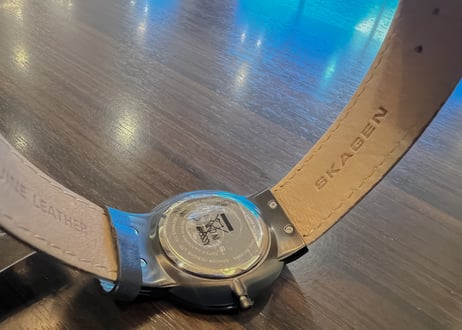SKAGEN(スカーゲン)J351XLBLB新品