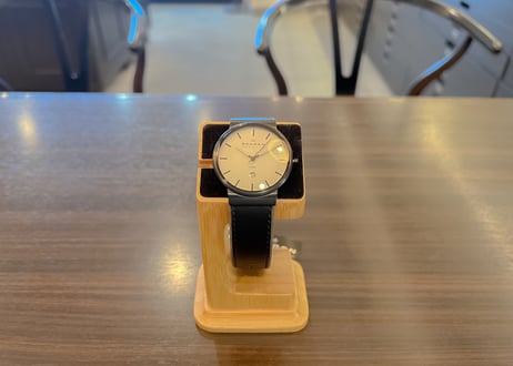 SKAGEN(スカーゲン)J351XLBLB新品
