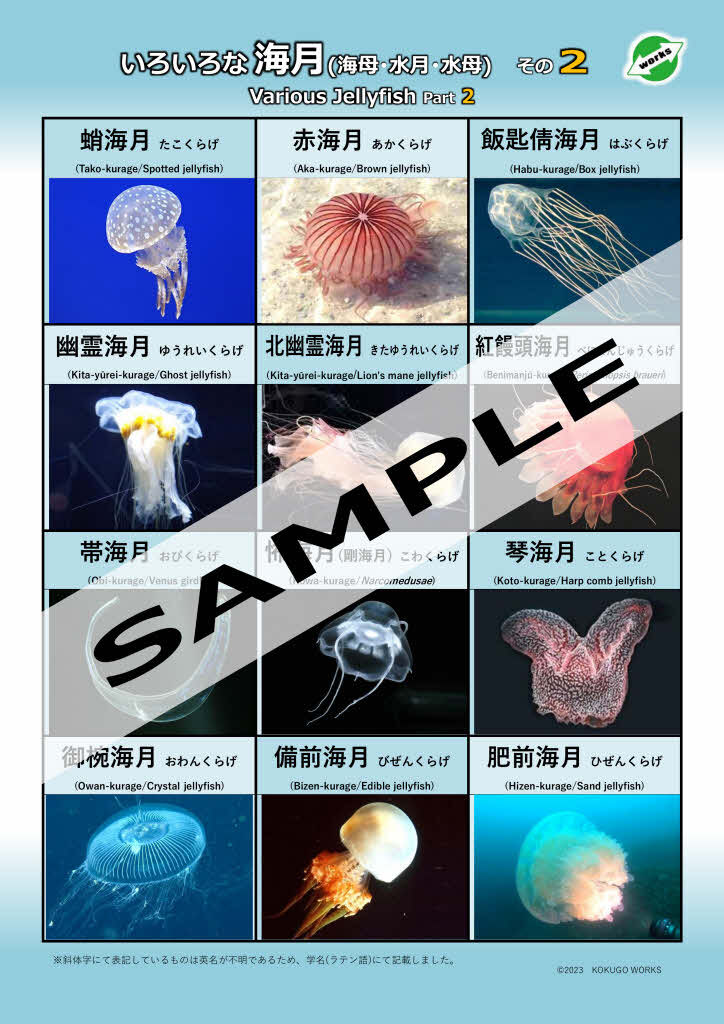 月海ページ⸝⋆ いろいろな海月-その1・2・3・4…セット | 国語WORKS STORE