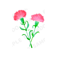 母の日02_小