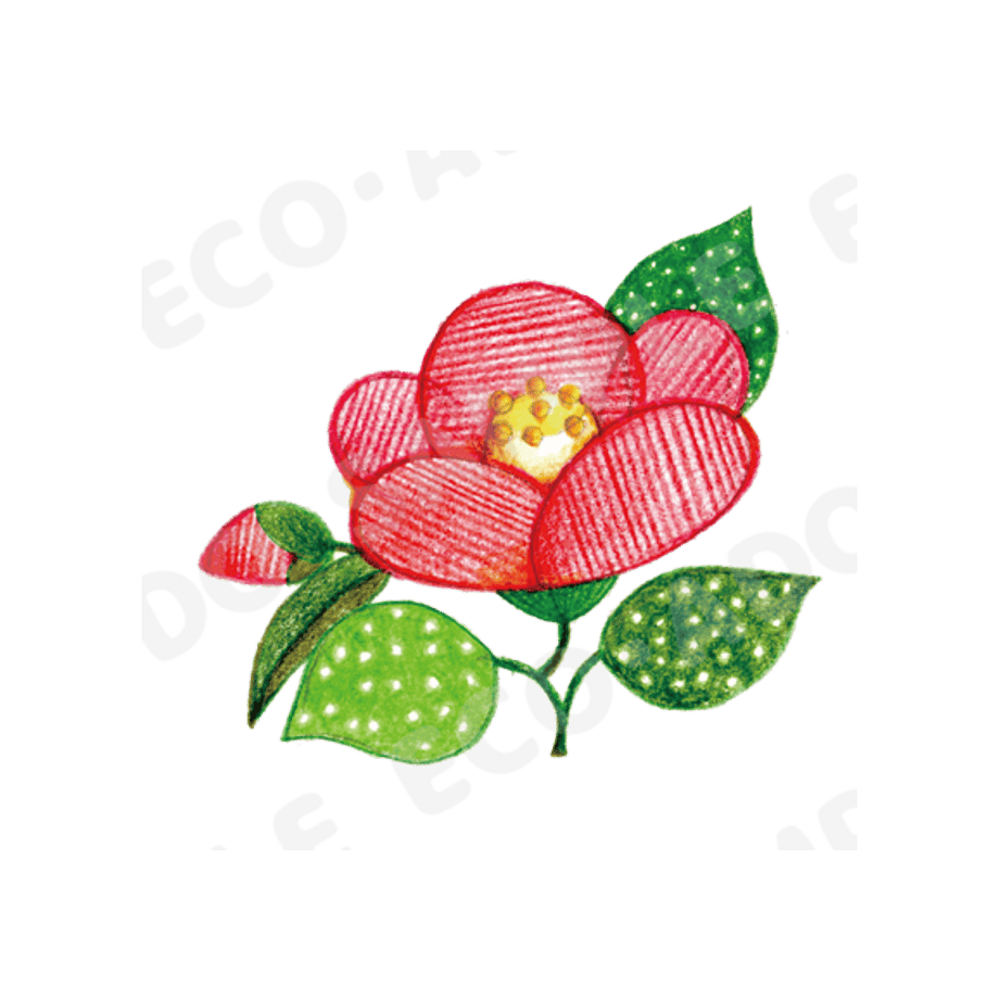 6636ef30434b95036de7edfa