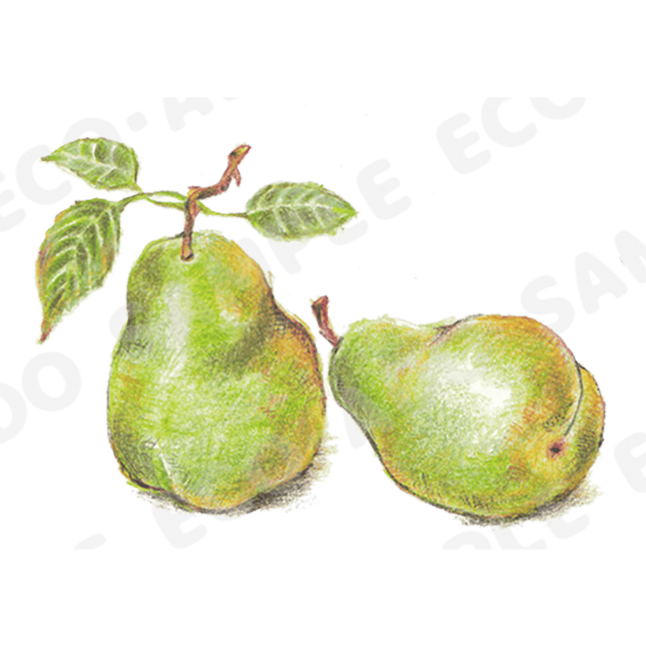 64f9802c6270d0002eba8c0c