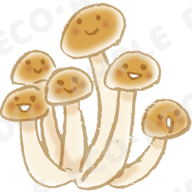 きのこ02_大 | えこ・あどのイラスト