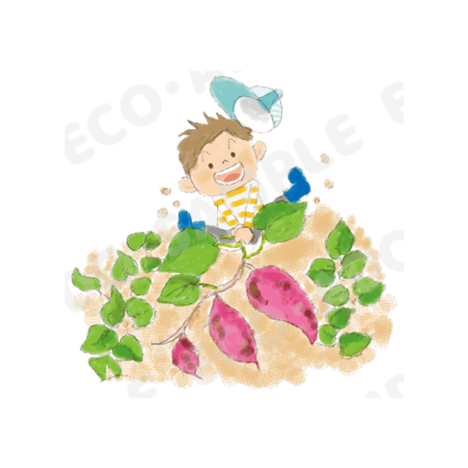 64f989e8db4bc1002946d5a5