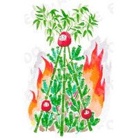 どんど焼き01_大