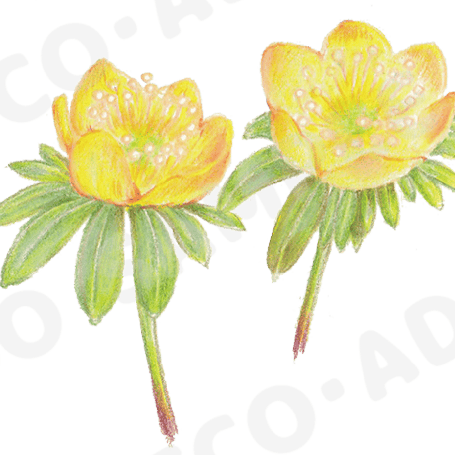 6636de74c65008003ff86bb0
