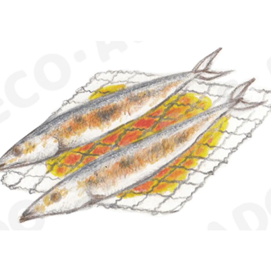 64f987a3db4bc1004346d518