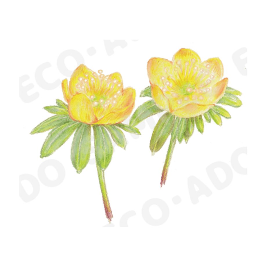 6636deee044f896e854f158a
