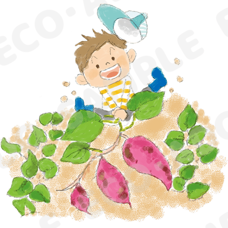 64f98961cd7f16004ac5662c