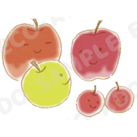 りんご01_大