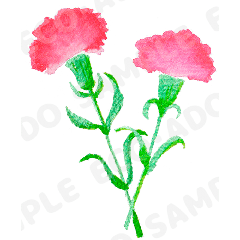 6909a714d501981fb98434d2