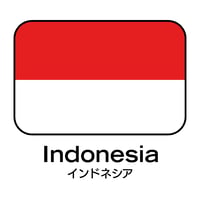 【豆  Grade2】Indonesia Mandheling　インドネシア　マンデリン　ポルン・アルフィナー【完売】