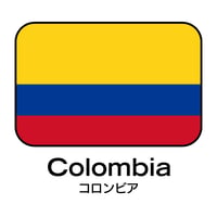 【豆  Grade1】Colombia Castillo　コロンビア　カスティージョ