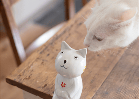 保護猫支援「うちの子人形プロジェクト 2025」