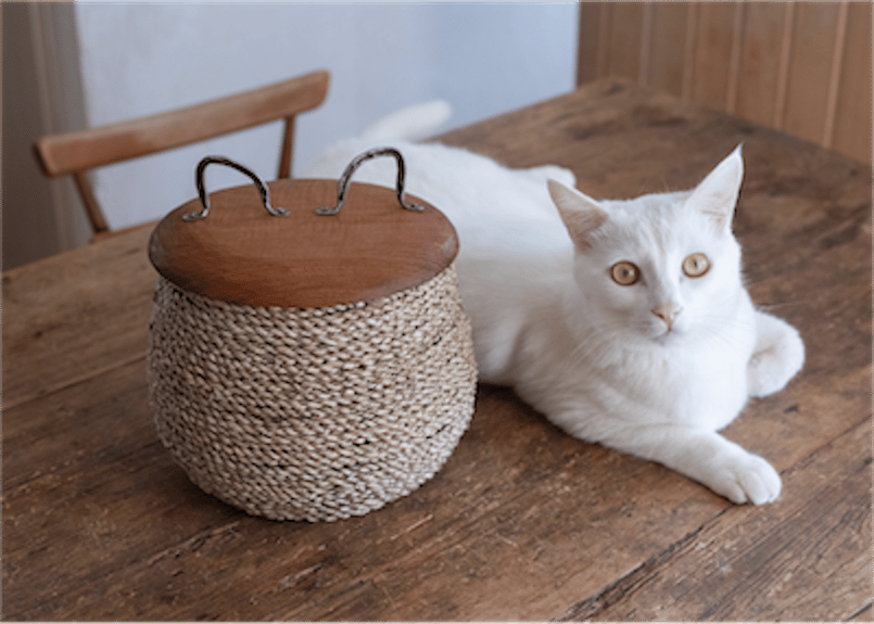 NEKOMIMI バスケット | LUCU LUCU ルチュ・ルチュ