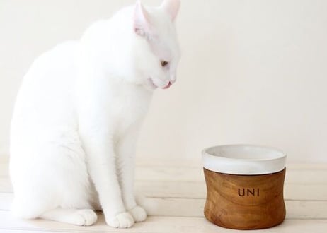 ネーム入りLUCU LUCUフードボウル