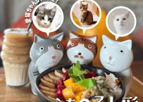 保護猫支援「うちの子人形プロジェクト 2025」