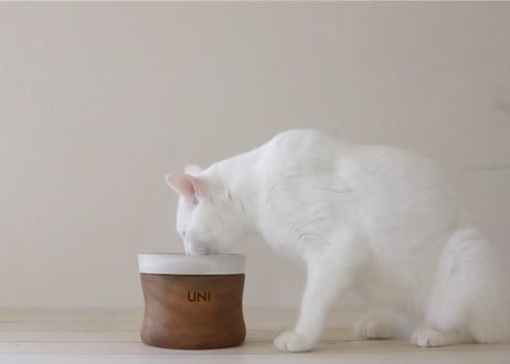 ネーム入りLUCU LUCUフードボウル