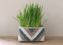 ビーズポット（ターコイズ）