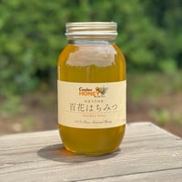 国産蜂蜜 みかんはちみつ 1200g 国産はちみつ | CanbeeHONEY