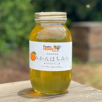 国産蜂蜜 百花はちみつ 1200g 国産はちみつ | CanbeeHONEY キャンビー